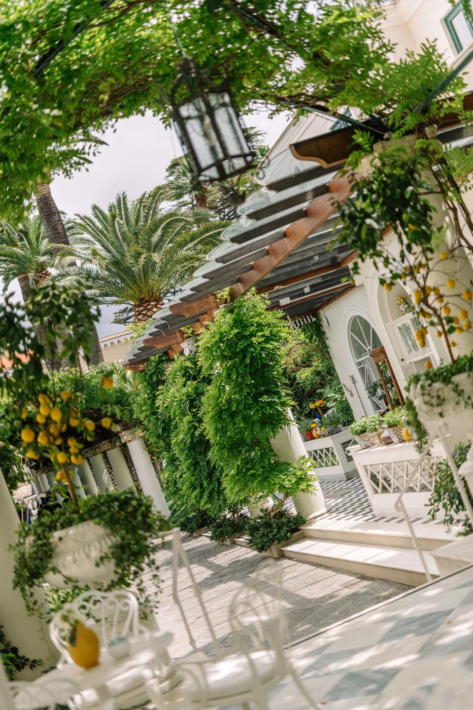 Il pergolato di Bellevue Syrene tra agrumi e fiori bianchi