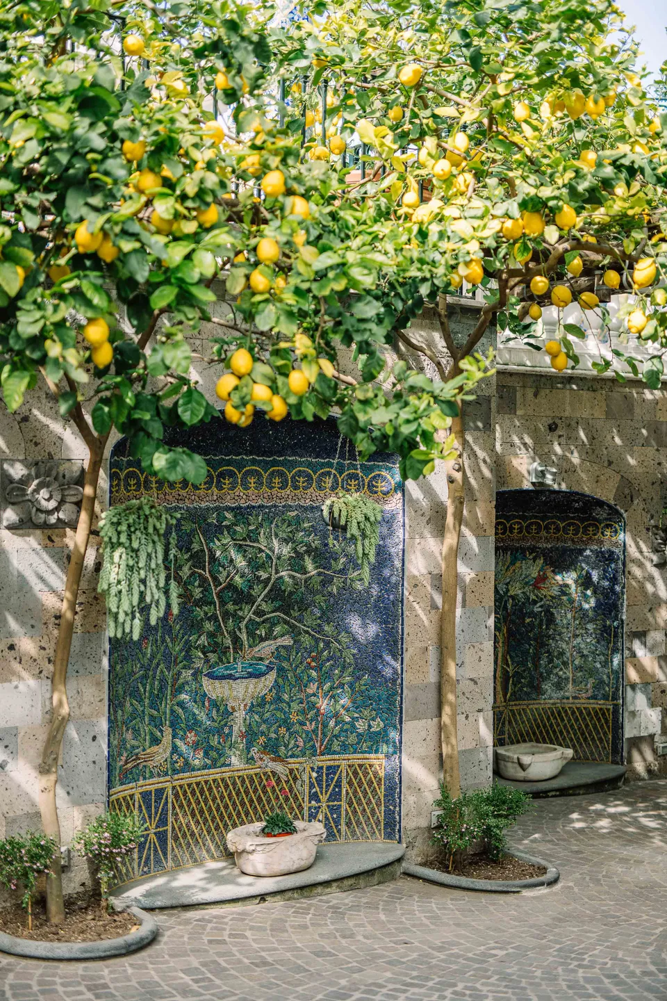 La Favorita — Una seduta nel giardino mediterraneo
