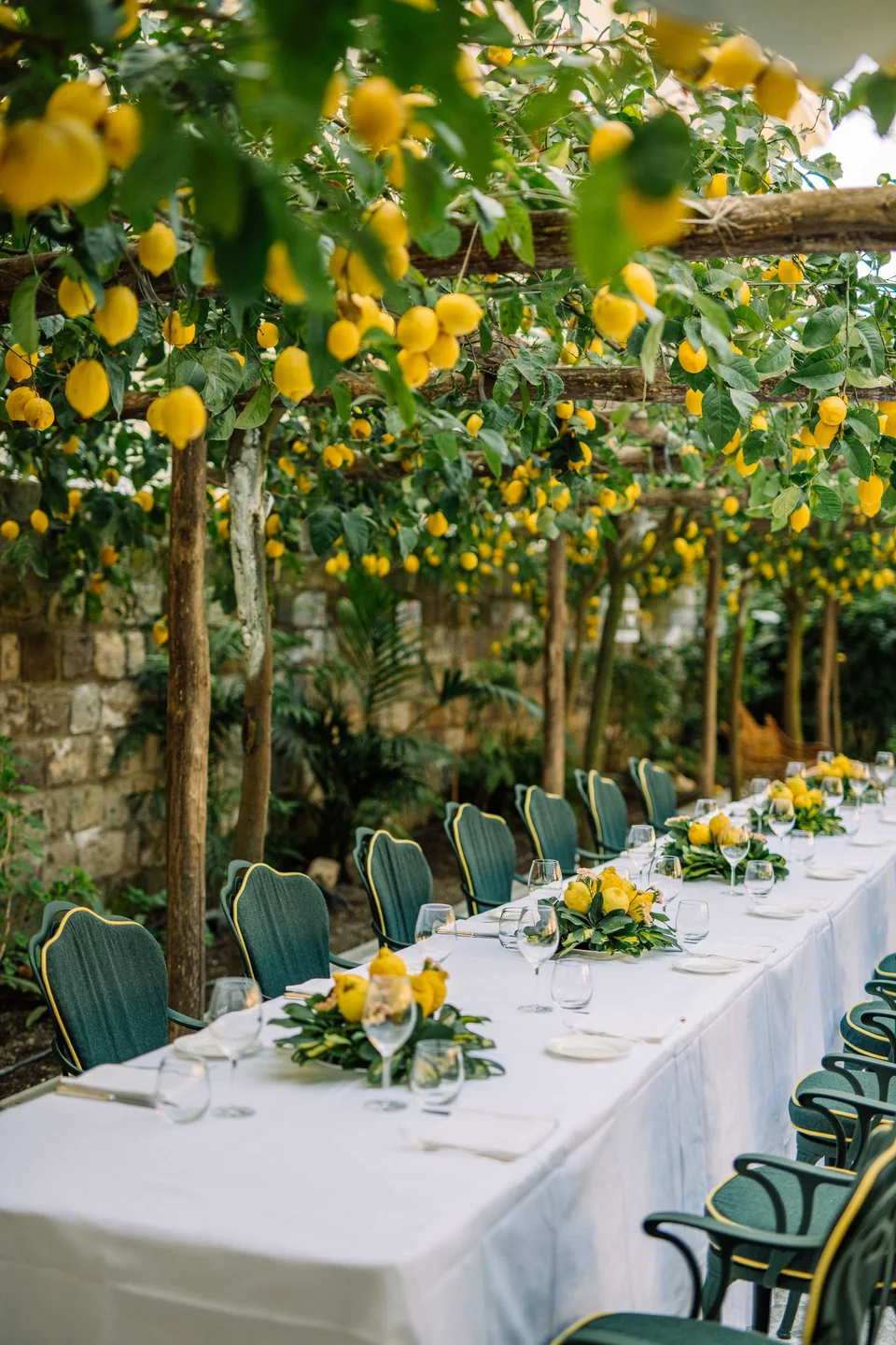 La tavola della Favorita sotto il pergolato di limoni